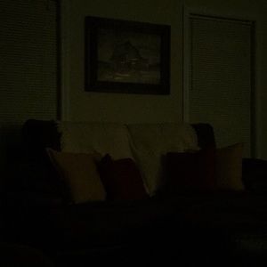 Meet your Posher, Bridgett